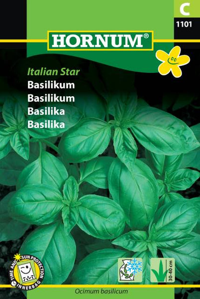 Basilikum "Italian Star"