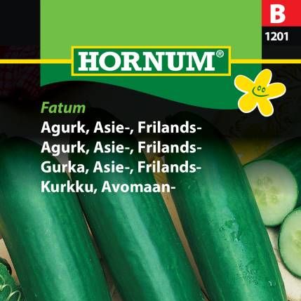 Agurk, Friland -Asia-agurk "Fatum"