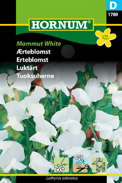 Blomsterert "Mammut White"