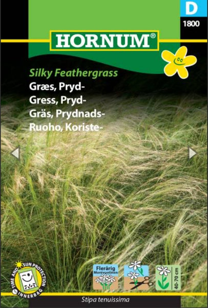 Prydgress «Silky Feathergrass»