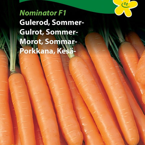 Gulrot, Sommergulrot "Nominator" F1