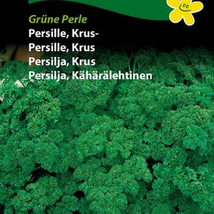 Persille, Kruspersille "Grüne Perle"