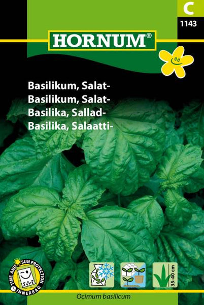 Basilikum, storbladet  "Salatbasilikum"