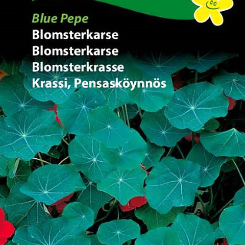 Blomkarse "Blue Pepe"