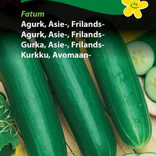 Agurk, Friland -Asia-agurk "Fatum"