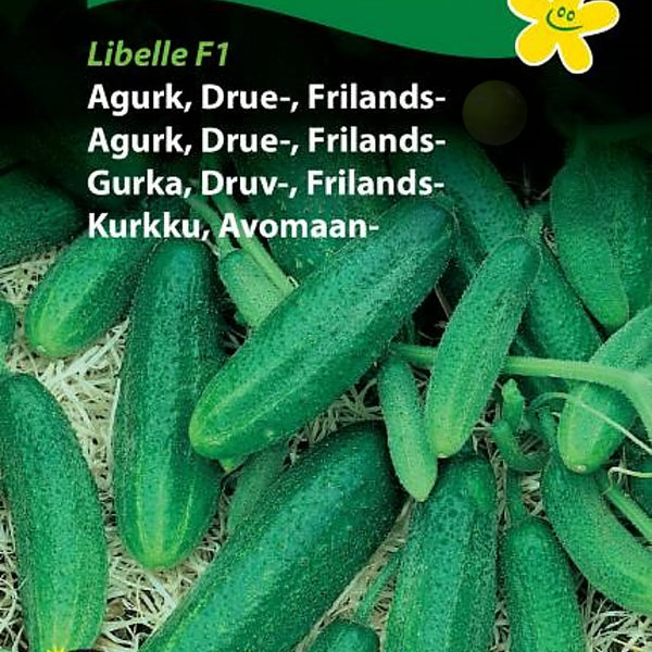 Agurk, Drue-agurk, Friland "Libelle F1
