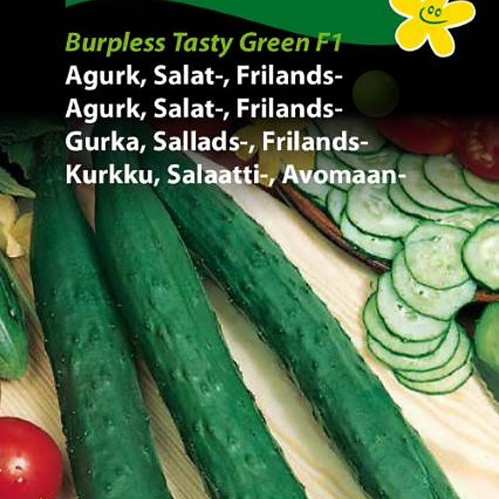 Agurk, Salatagurk - Friland "Tasty Green" F1