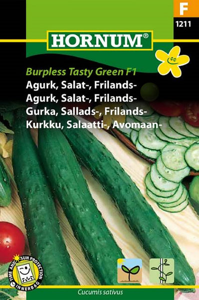 Agurk, Salatagurk - Friland "Tasty Green" F1