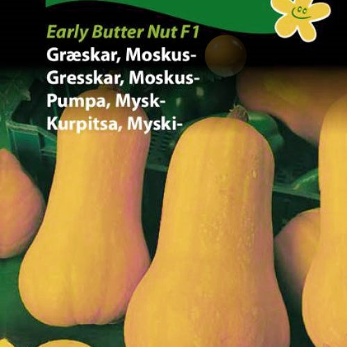 Gresskar, Moskus "Early Butter Nut Tiana F1