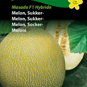 Melon, Sukkermelon "Masada" F1