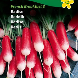Reddik "French Breakfast"