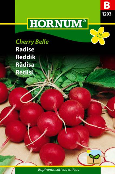 Reddik "Cherry Belle"