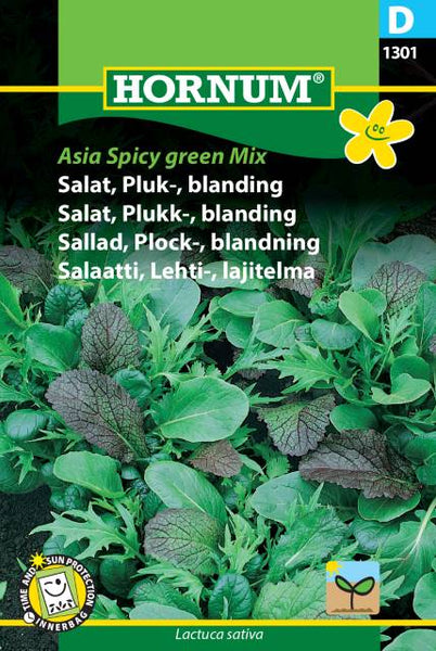 Salat, Plukksalat "Asia Spicy Green Mix "