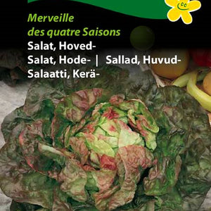 Salat, hodesalat "Marveille"