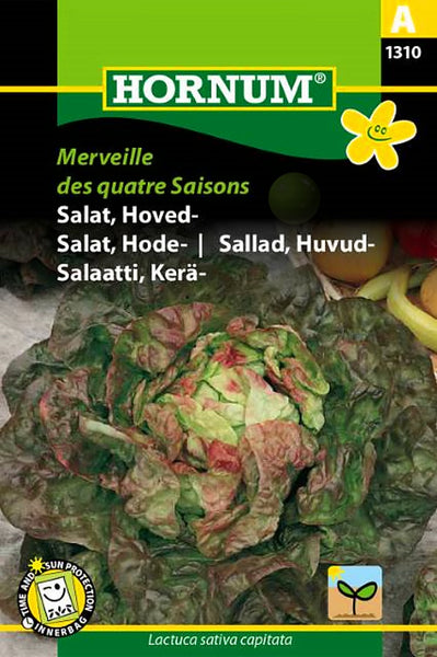 Salat, hodesalat "Marveille"