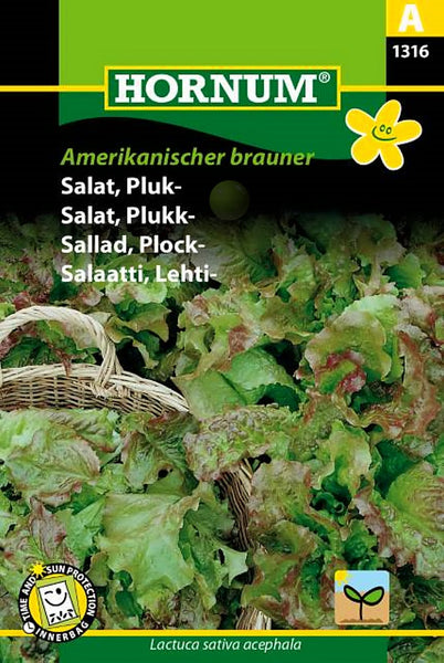 Salat, Plukksalat "Amerikanischer brauner"