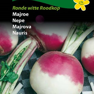 Nepe, Mainepe "Ronde witte Roodkop"
