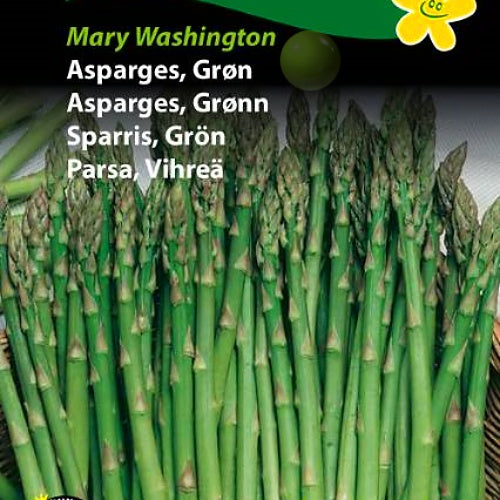 Asparges, Grønn "Mary Washington"