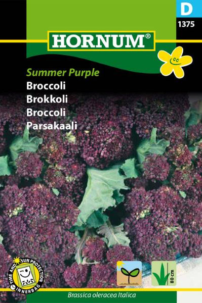 Brokkoli, Lilla  "Summer Purple"