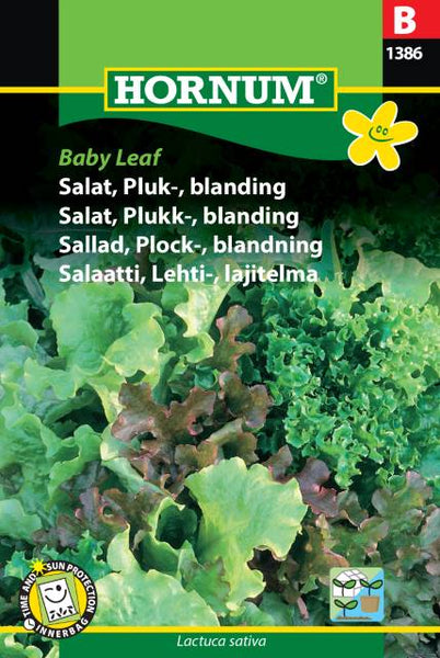 Salat, Plukksalat "Baby Leaf"