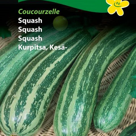 Squash "Coucourzelle"