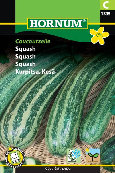 Squash "Coucourzelle"