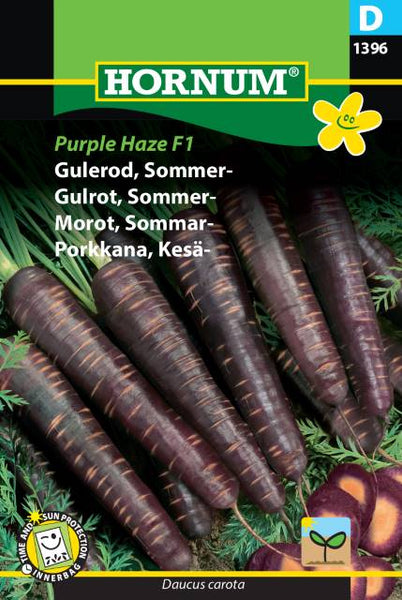 Gulrot, sommergulrot "Purple Haze" F1