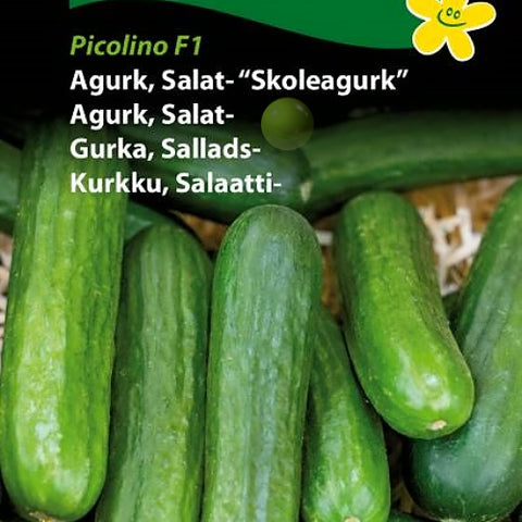 Agurk,salat "Skoleagurk" Picolino F1