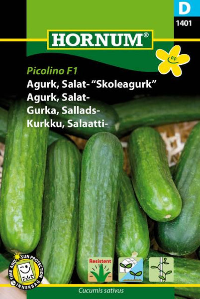 Agurk,salat "Skoleagurk" Picolino F1