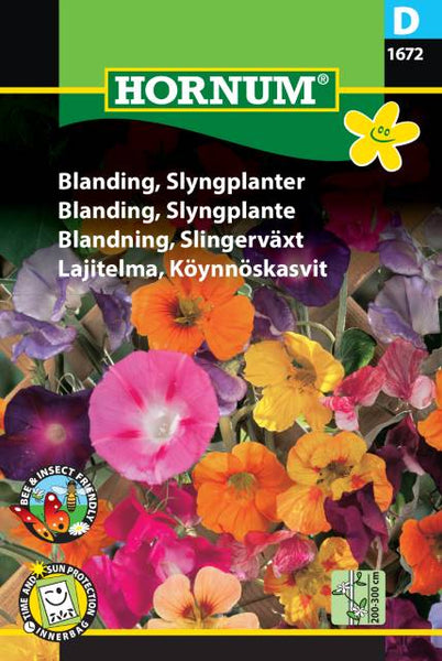 Blomsterblanding, Slyngplanter,  Fargemix