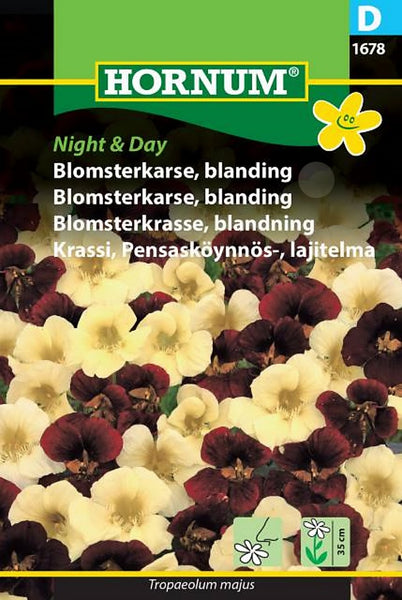 Blomkarse "Night & Day"