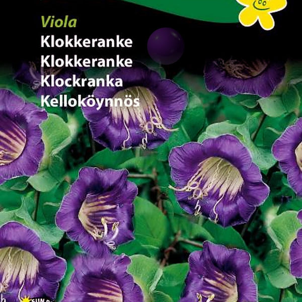 Klokkeranke "Viola"