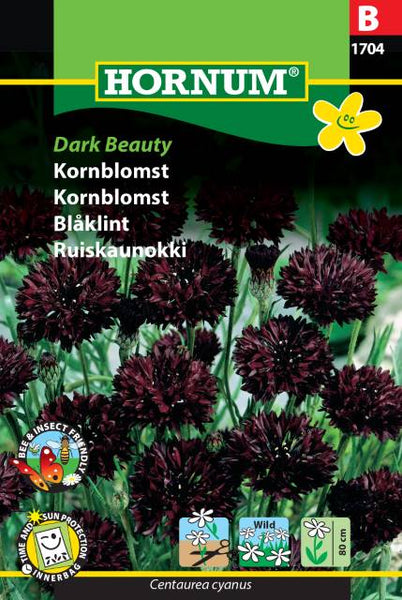 Kornblomst "Dark Beauty"