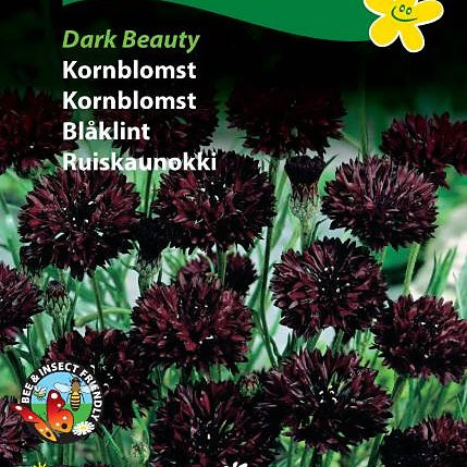 Kornblomst "Dark Beauty"