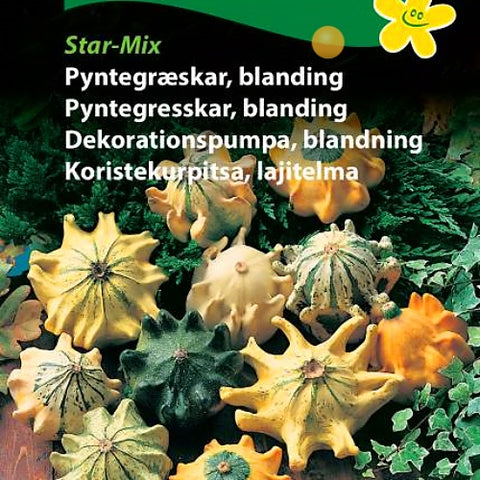 Gresskar, Pyntegresskar "Star-Mix"