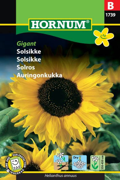 Solsikke "Giant"