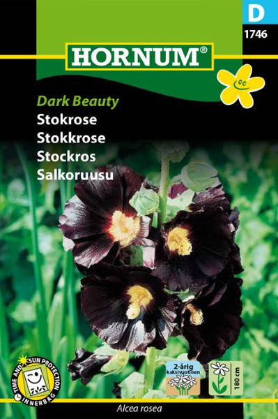 Stokkrose "Dark Beauty