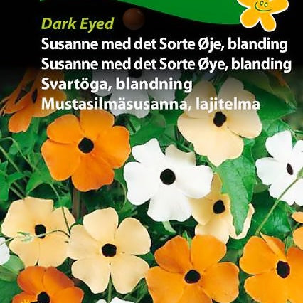 Thunbergia, "Susanne med det Sorte Øye" Fargeblanding