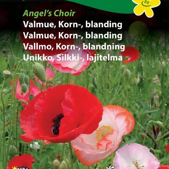 Valmue, Kornvalmue "Angel's Choir"