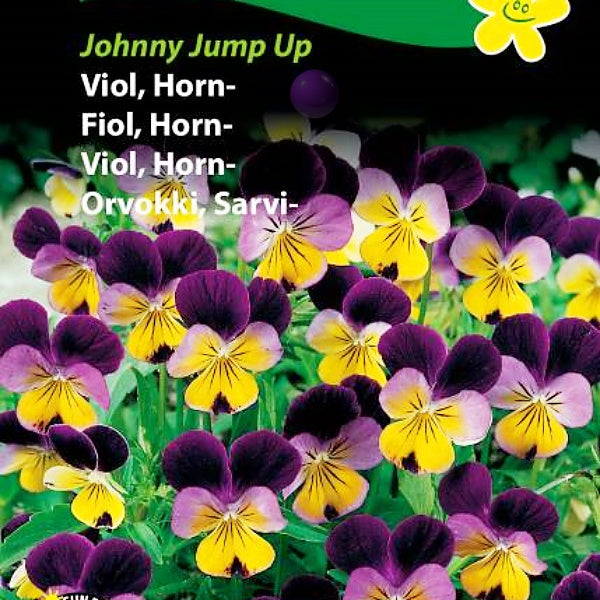 Fiol, Hornfiol "Johnny Jump Up"