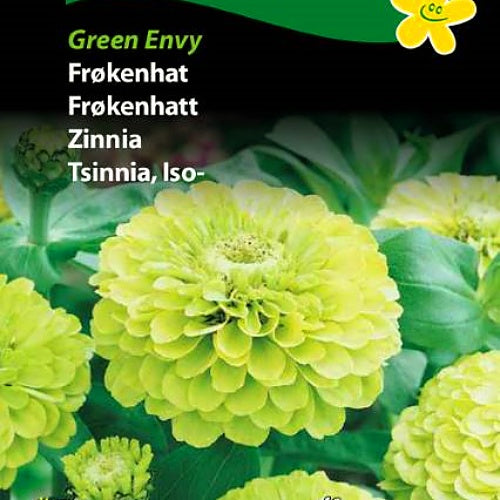 Sinnia  "Green Envy"