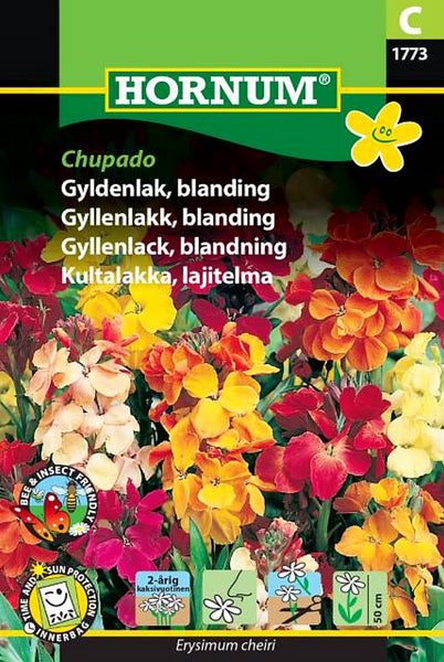 Gyldenlakk,  fargeblanding "Chupado"