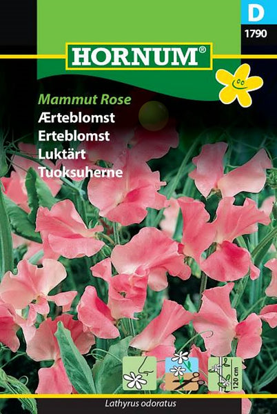Blomsterert "Mammut Rose"