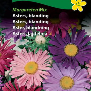 Asters, fargeblanding "Margareten Mix"
