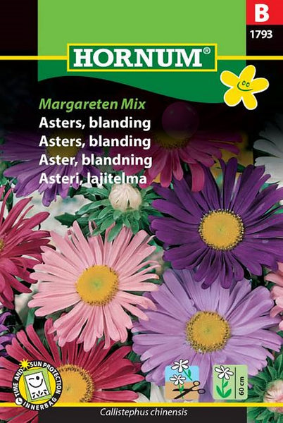 Asters, fargeblanding "Margareten Mix"