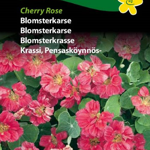 Blomkarse "Cherry Rose"