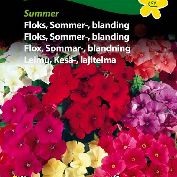 Floks, Sommerfloks, fargeblanding "Summer"