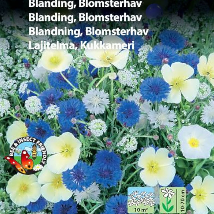 Blomsterblanding "Blomsterhav", Blå og hvit