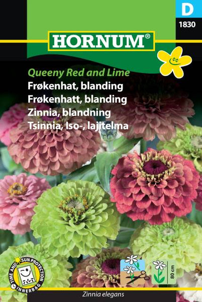 Sinnia  " Queeny Red & Lime"