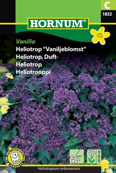 Heliotrop, Duft-Heliotrop "Vanilla"
